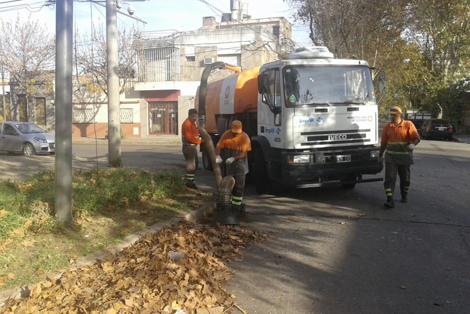 29835 | Se profundizan tareas de barrido para minimizar la acumulación de hojas caídas - Secretaría de Servicios Públicos y Medio Ambiente
