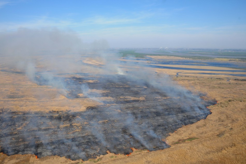 245651 | Quema en las islas - Subsecretaría de Comunicación Social (Silvio Moriconi)