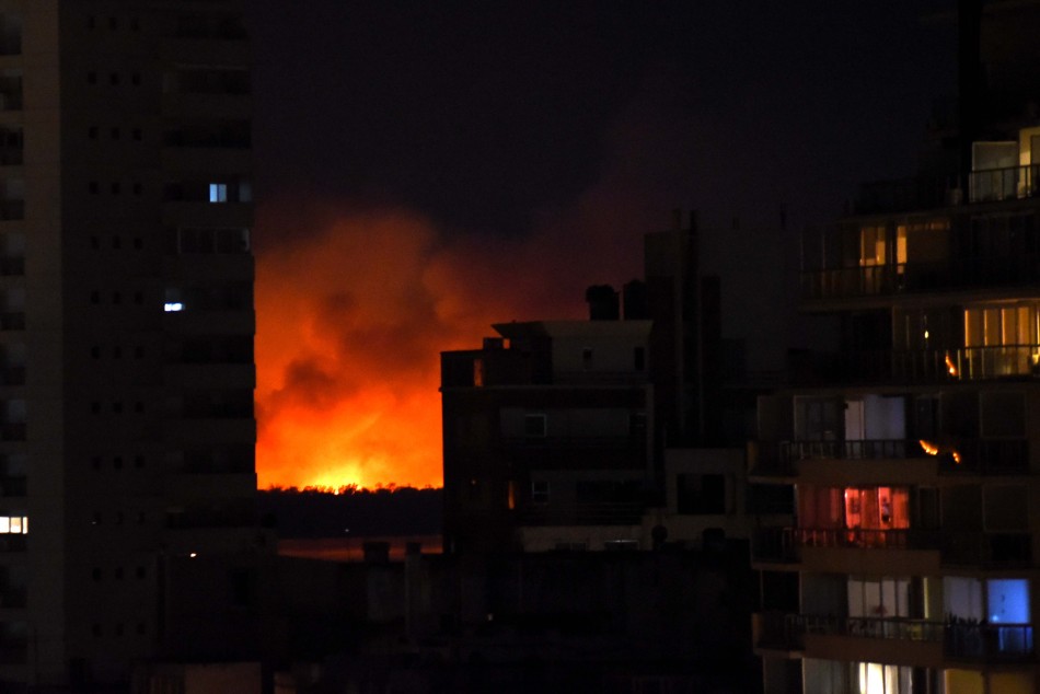 268360 | Incendio en las islas - Subsecretaría de Comunicación Social (Silvio Moriconi)