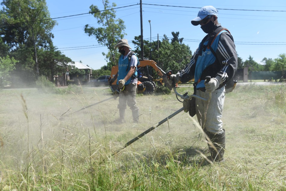 286424 | Operativo demalezamiento de baldíos Bº Hostal del Sol - Subsecretaría de Comunicación Social (Silvio Moriconi)