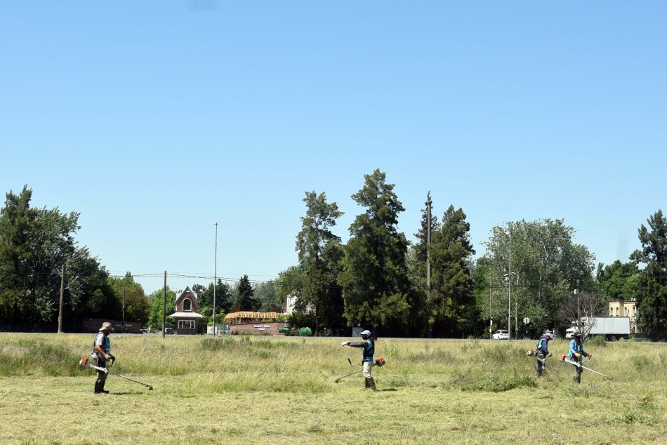 286431 | Operativo demalezamiento de baldíos Bº Hostal del Sol - Subsecretaría de Comunicación Social (Silvio Moriconi)