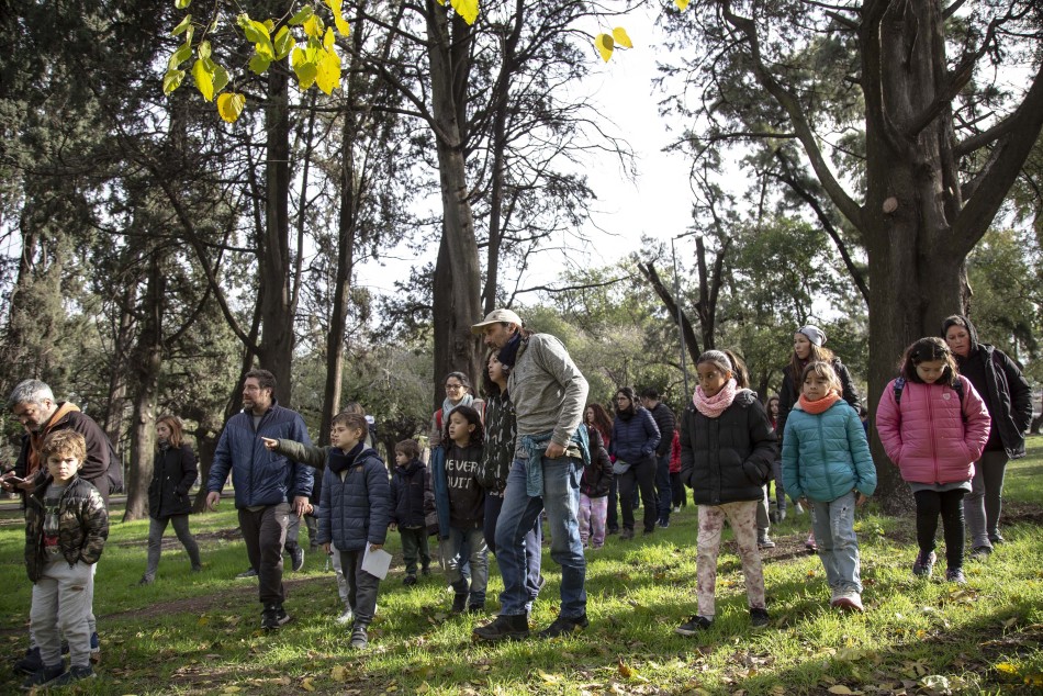 433967 | Parque Explorado con avistaje de aves en Museo de la Ciudad - Sec. de Cultura y Educación (Guillermo Turin Bootello)