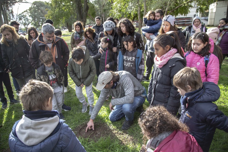 433965 | Parque Explorado con avistaje de aves en Museo de la Ciudad - Sec. de Cultura y Educación (Guillermo Turin Bootello)