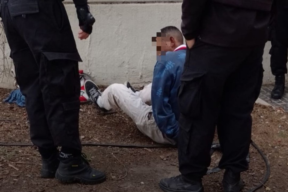 623227 |  - Gentileza