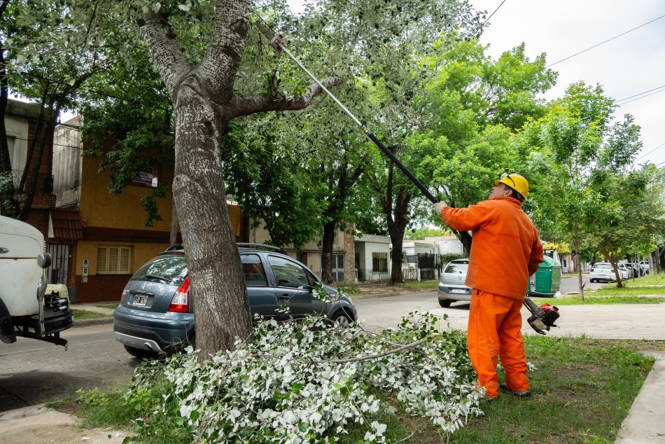 624422 |  - Municipalidad de Rosario